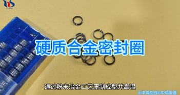 硬質合金密封圈 硬質合金密封圈圖片